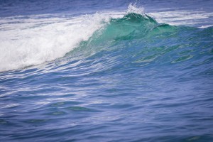 Lahaina Surf Waves   Maui Hawaii 3453